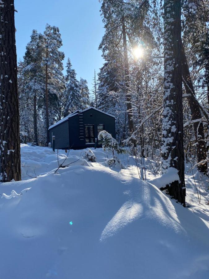 Tammikon Tupa Villa Tuusula Dış mekan fotoğraf